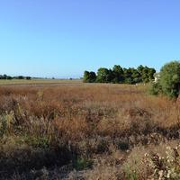 Земельный участок в Греции