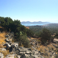 Земельный участок в Греции, 6000 кв.м.