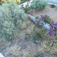 Other in Greece, 264 sq.m.