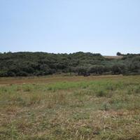 Land plot in Greece