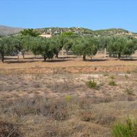 Land plot in Greece