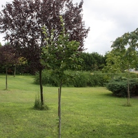 Other in Greece, 200 sq.m.