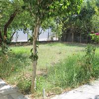 Other in Greece, 300 sq.m.