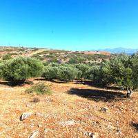 Land plot in Greece, 4126 sq.m.