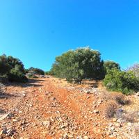 Land plot in Greece, 4126 sq.m.