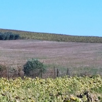 Земельный участок в Греции