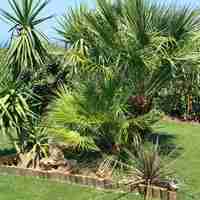 Villa in Greece, 135 sq.m.