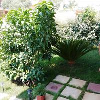 Other in Greece, 50 sq.m.