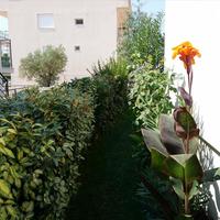 Other in Greece, 50 sq.m.