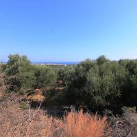 Земельный участок в Греции, 2000 кв.м.