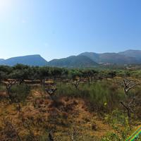 Land plot in Greece, 5500 sq.m.