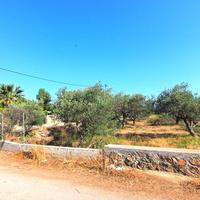 Land plot in Greece, 5500 sq.m.