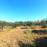 Land plot in Greece, 5500 sq.m.