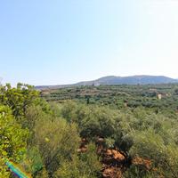 Земельный участок в Греции, 5000 кв.м.