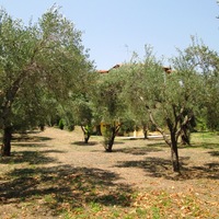 Townhouse in Greece, 140 sq.m.