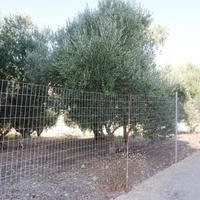 Земельный участок в Греции, 535 кв.м.