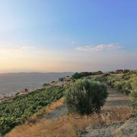 Земельный участок в Греции, 2600 кв.м.