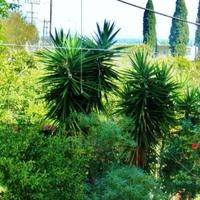 Отель (гостиница) в Греции, 540 кв.м.