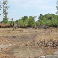 Business center in Greece, 150 sq.m.