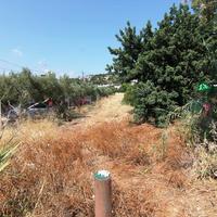 Земельный участок в Греции, 1500 кв.м.