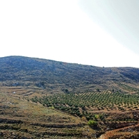 Land plot in Greece