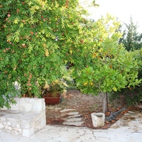 Other in Greece, 360 sq.m.