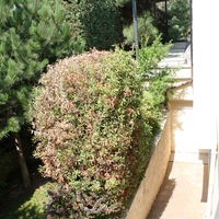 Villa in Greece, 600 sq.m.