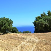 Land plot in Greece, 9800 sq.m.