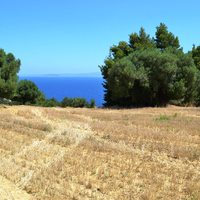 Land plot in Greece, 9800 sq.m.