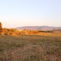 Business center in Greece, 440 sq.m.