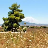 Villa in Greece, 330 sq.m.