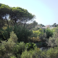 Другое в Греции, 270 кв.м.