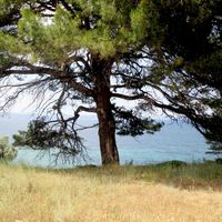 Земельный участок в Греции