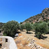 Земельный участок в Греции, 2000 кв.м.