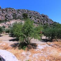 Земельный участок в Греции, 2000 кв.м.