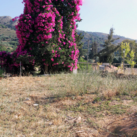 Земельный участок в Греции