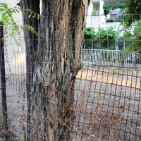 Земельный участок в Греции