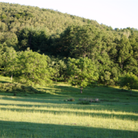 Земельный участок в Греции