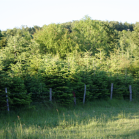 Земельный участок в Греции