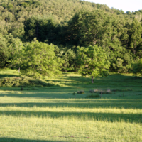 Земельный участок в Греции