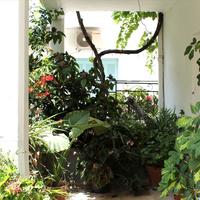 Other in Greece, 312 sq.m.