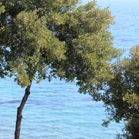 Вилла в Греции, 400 кв.м.