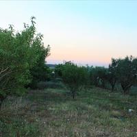 Land plot in Greece