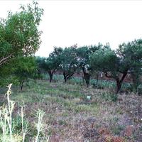 Land plot in Greece