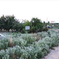 Land plot in Greece