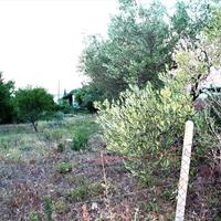 Land plot in Greece