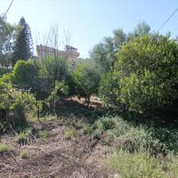 Land plot in Greece, 550 sq.m.