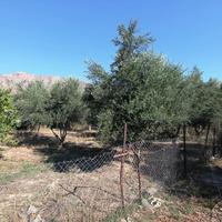 Land plot in Greece, 386 sq.m.