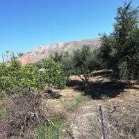 Land plot in Greece, 386 sq.m.