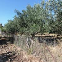 Land plot in Greece, 386 sq.m.